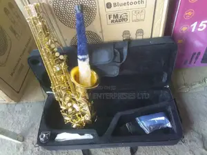 Professional Gold Alto Saxophone