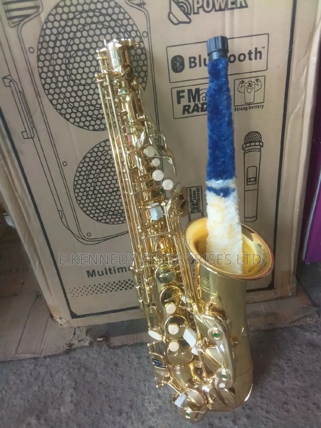 Professional Gold Alto Saxophone