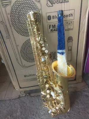 Professional Gold Alto Saxophone