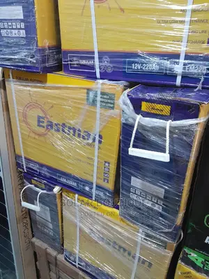 220ah Eastman Tubular Battery