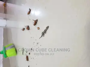 Fumigation Fumigationn Services
