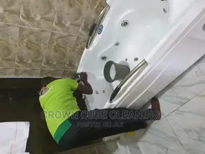 Professional Cleaning Services in Lagos