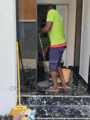 Professional Cleaning Services in Lagos