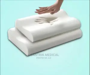 Portable Memory Foam Neck Pain Medical Sleep Pillow