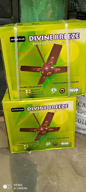 Divine Breeze Passion for Quality SHOUT BLADE FAN
