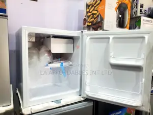 Skyrun Bedsize Fridge BCD-55a