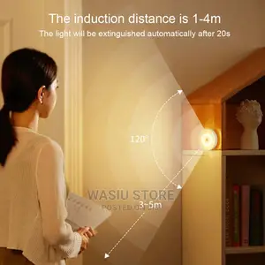 Body Induction Motion Sensor Light