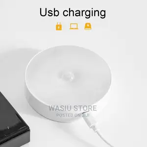 Body Induction Motion Sensor Light
