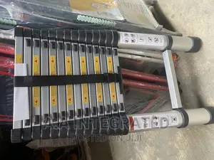 Telescopic Ladder