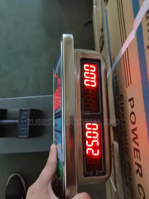 300kg Scale Original