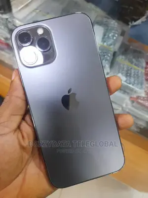 Apple iPhone 13 Pro Max 128 GB Gray