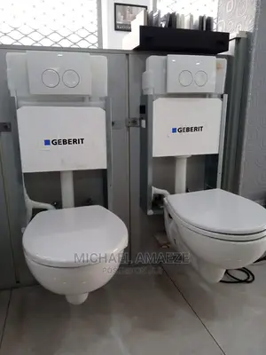 Geberiet Wall Hung Water Closet