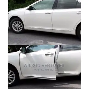 Lexus Rx330 Door Body Chrome