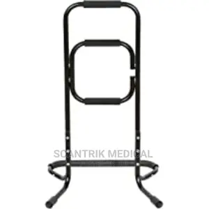 Bandwagon Chair Life Stand Assist