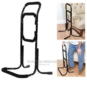 Mobility Stand Lift Chair Assist