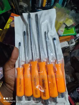 Star and Flar Screw Deiver Set
