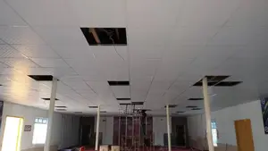Suspended Ceilings Gypsum Board