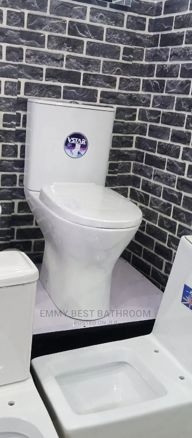 Original WC With The Wash Hand Basin