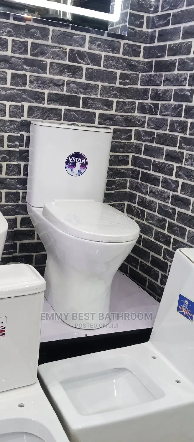 Original WC With The Wash Hand Basin