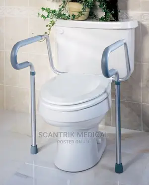 Raised Toilet Support With Armrest