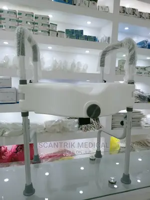 Raised Toilet Seat With Armrest
