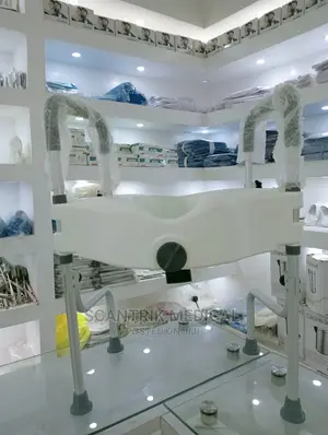 Elevated Raised Toilet Seat Removable