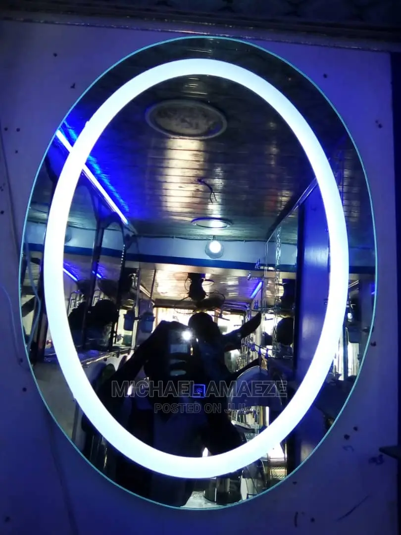 Mirror With Lights Egg Shape
