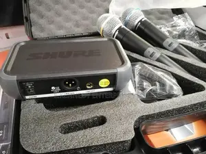 Professional Shure PGX 242 Wireless Microphone