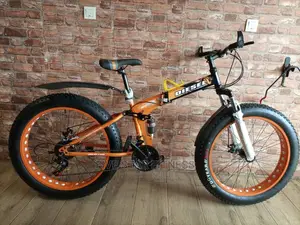 Original Fat Tyre Road Bike