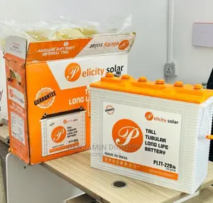 220a Felicity Tubular Battery Battery