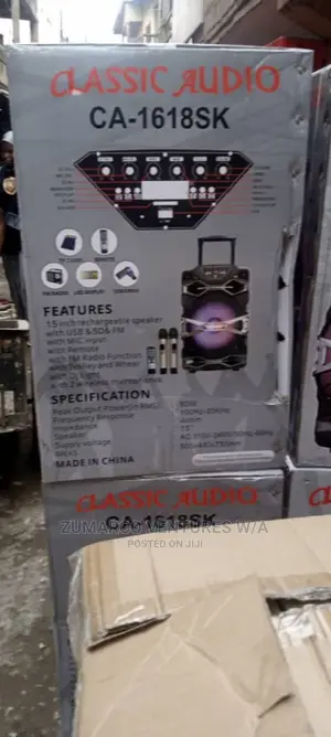 Classic Audio 12" PA SYSTEM