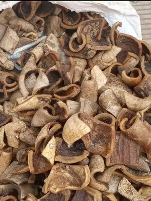 Dried Kpomo