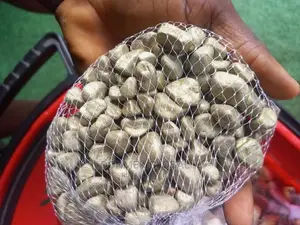 Pebble Stones/Chipping Stones