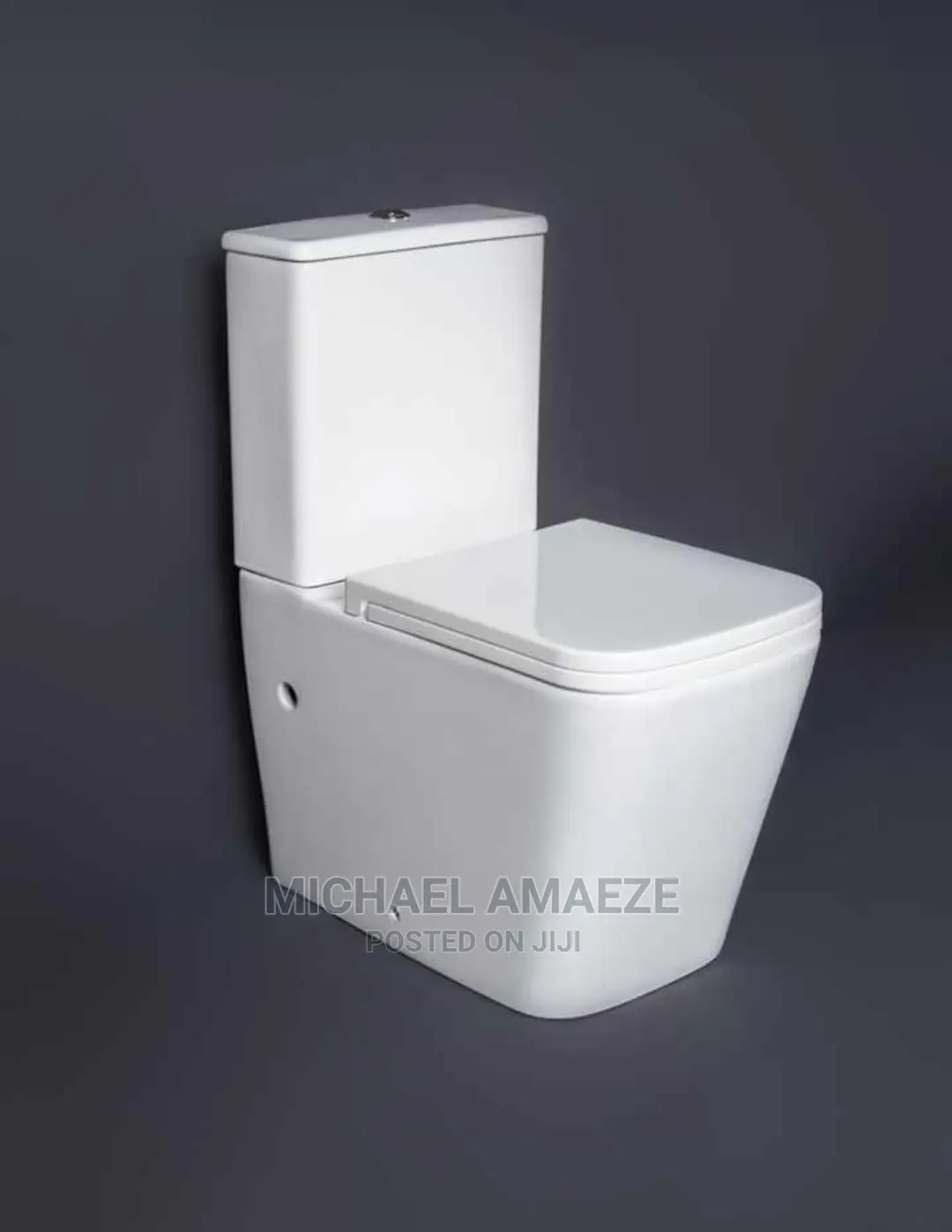 Master Water Closet
