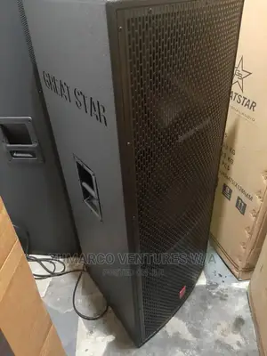 A Pair of Great Star Acoustic Speaker