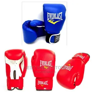Everlast Boxing Glove