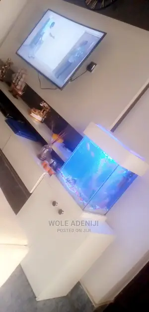 Fish Aquariums Cabinets