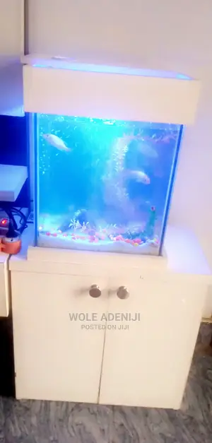 Fish Aquariums Cabinets