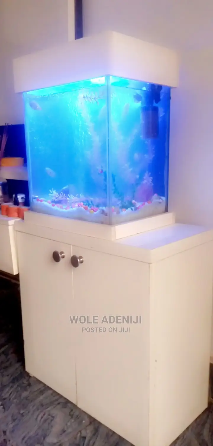Fish Aquariums Cabinets