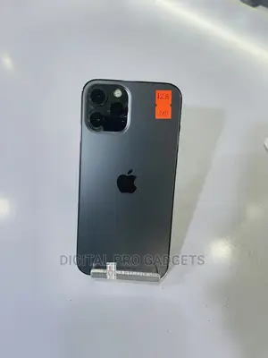 Apple iPhone 12 Pro Max 128 GB Gray