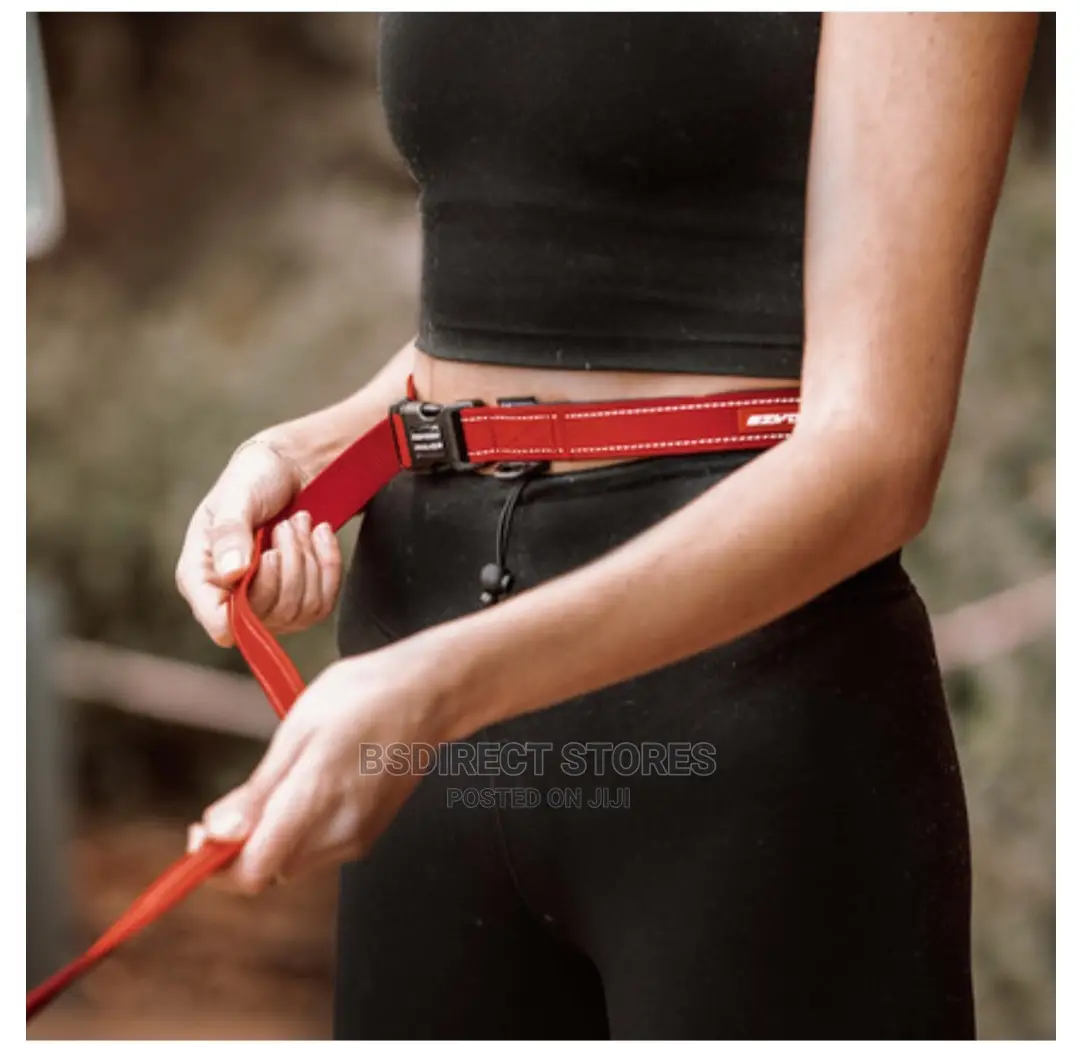 Ezydog Road Runner Lengthy Hands Free Zero Shock Dog Leash