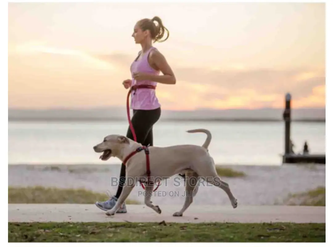 Ezydog Road Runner Lengthy Hands Free Zero Shock Dog Leash