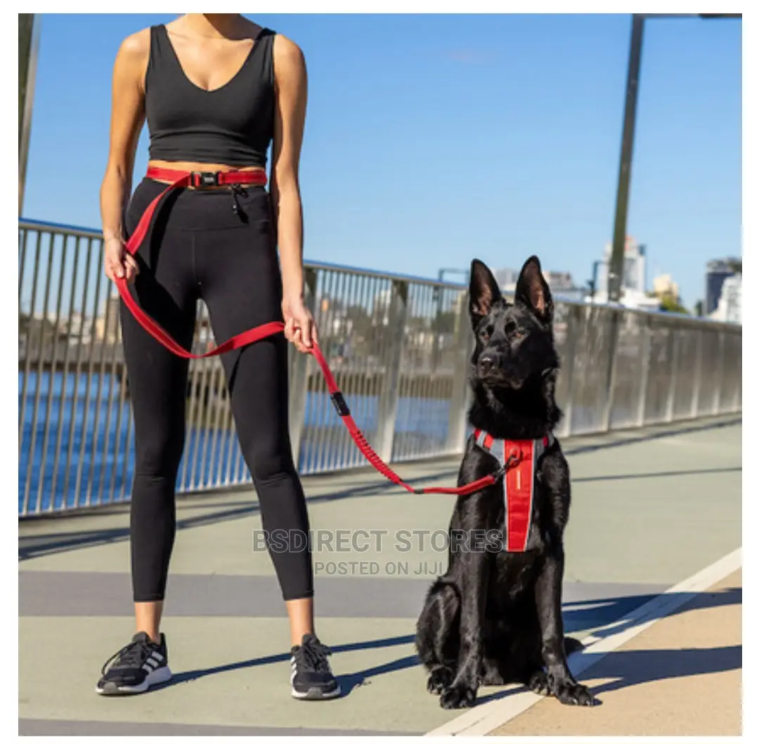 Ezydog Road Runner Lengthy Hands Free Zero Shock Dog Leash