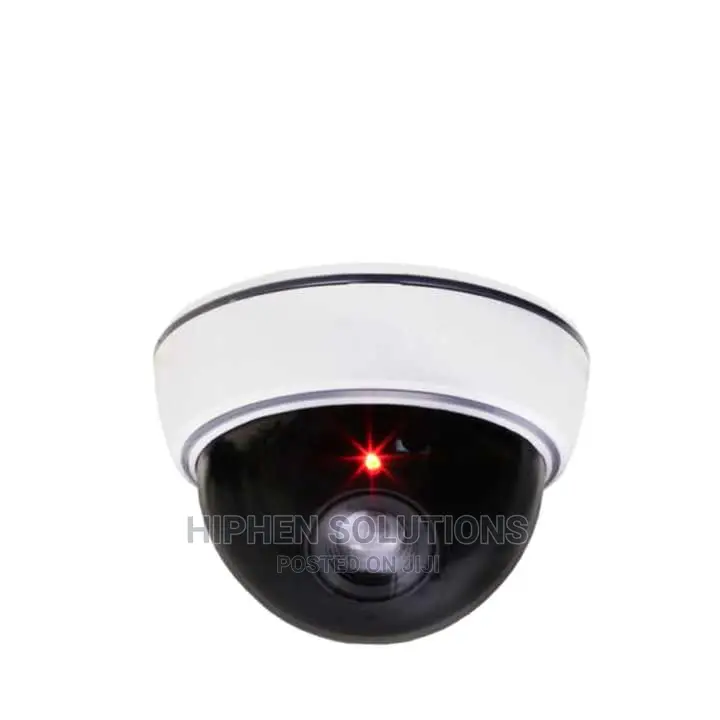 Indoor Dummy Security