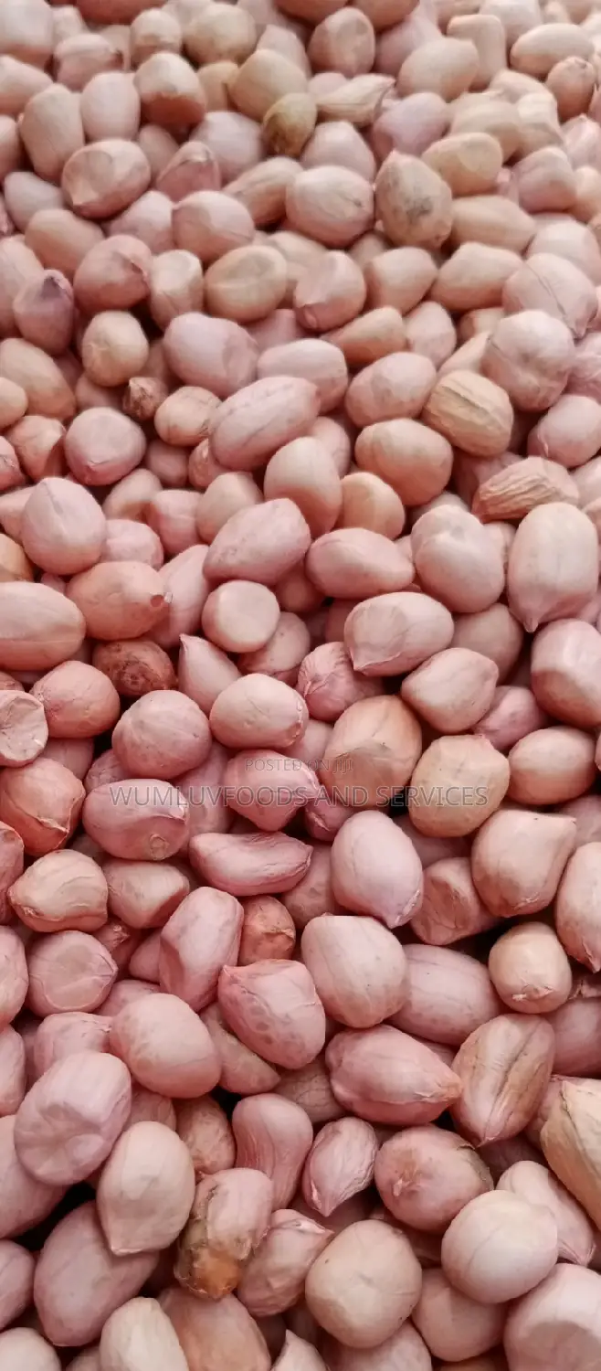 Groundnut Available in Varieties