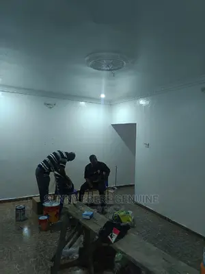 Satin White Paint, Polyurethane Paint 20l