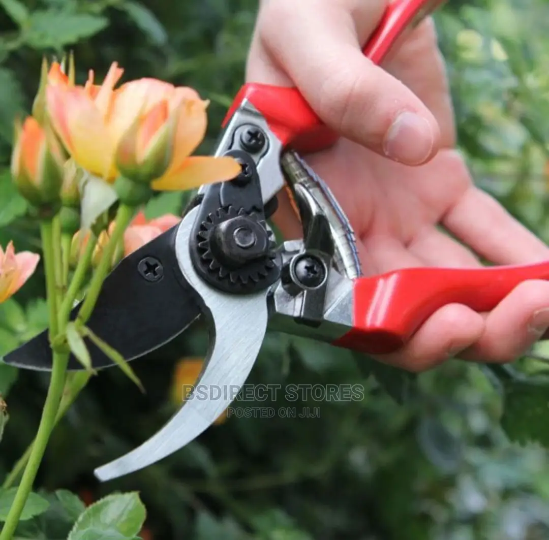 Wilkinson Sword Diamond Cut Pro Drop Forged Bypass Pruner