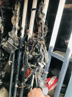 Complete Wiring and Brain Box for Suzuki Powerbike