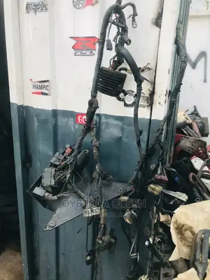 Complete Wiring and Brain Box for Honda Powerbike 2010