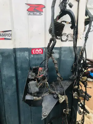 Complete Wiring and Brain Box for Honda Powerbike 2010